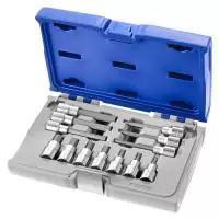 E031971 EXPERT 1/2" отверточные гнезда для винтов XZN ®